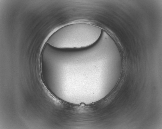 X0000080180808200612081132