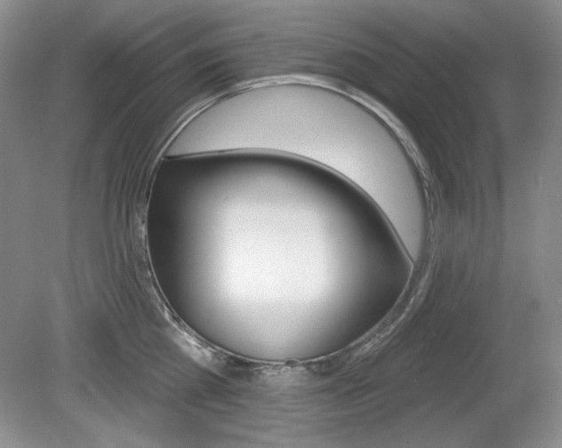 X0000080180809200612081132