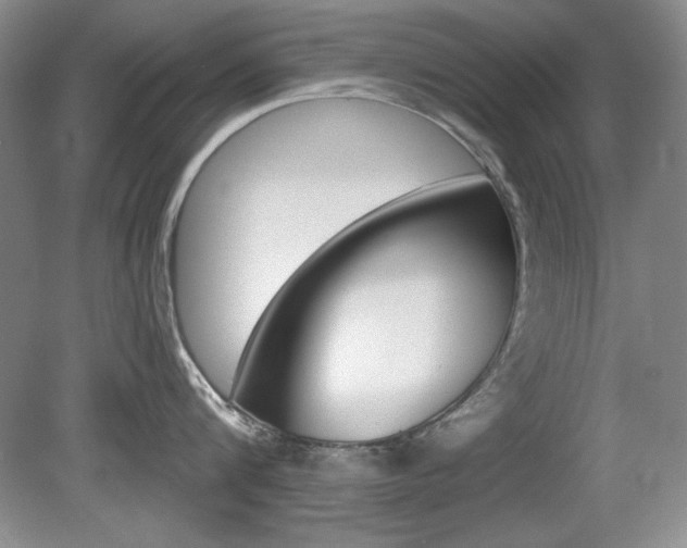 X0000080180816200612081132