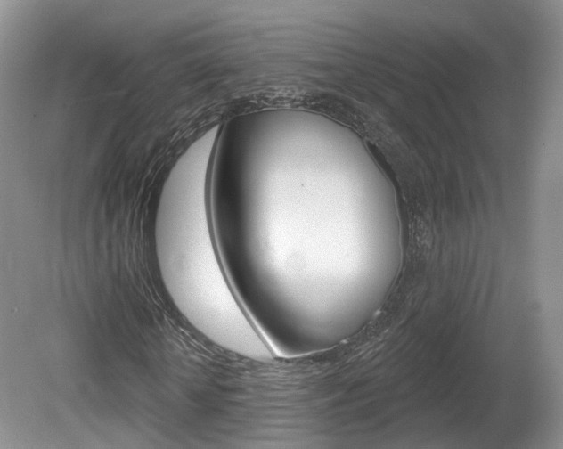 X0000080180818200612081131