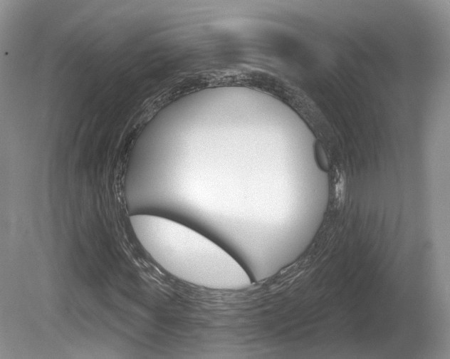 X0000080180819200612081131