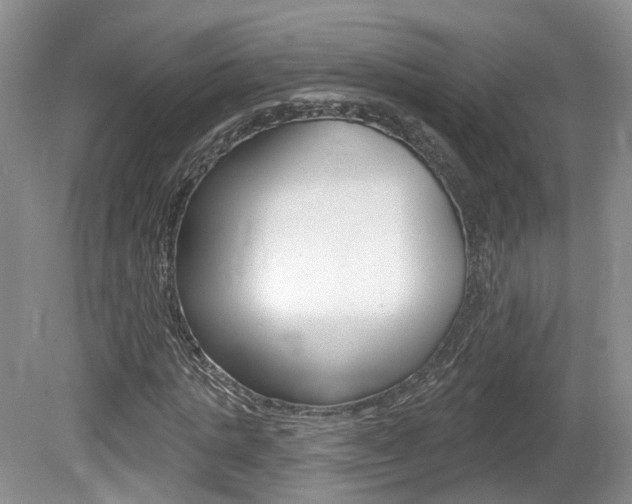 X0000080180821200612081131