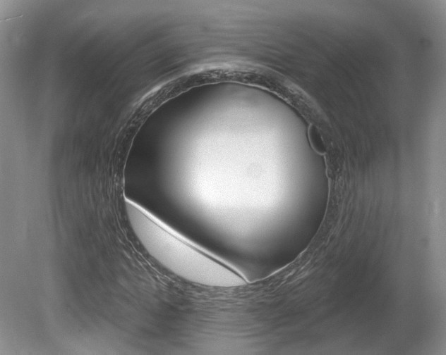 X0000080180822200612081131