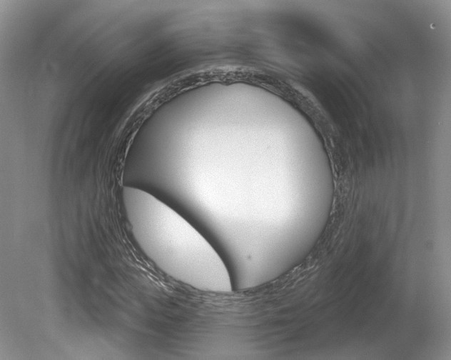 X0000080180823200612081131