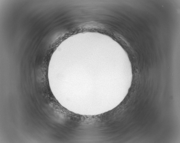X0000080180824200612081131
