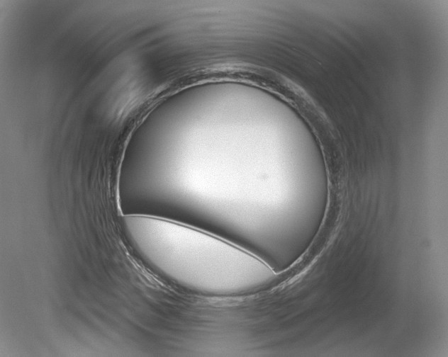X0000080180825200612081131