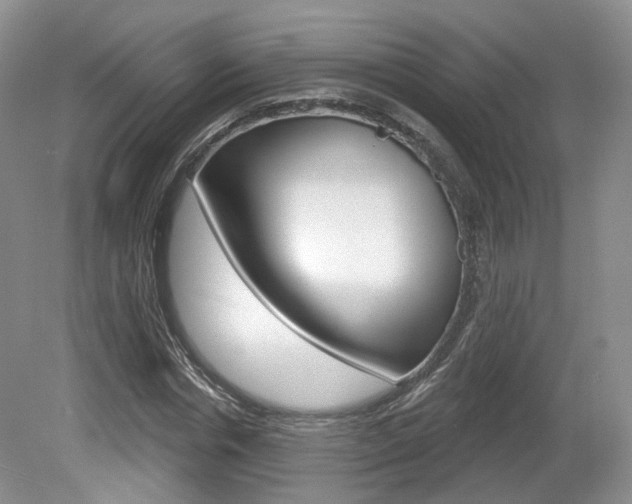 X0000080180826200612081131