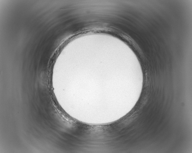 X0000080180828200612081131