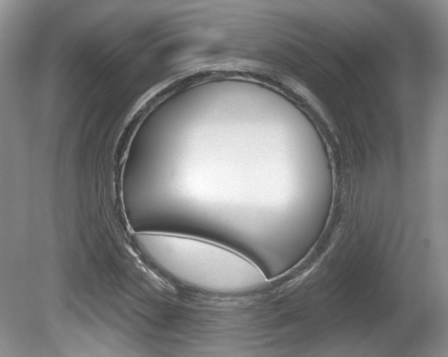 X0000080180829200612081131