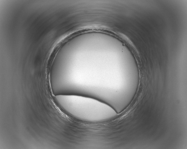 X0000080180831200612081131
