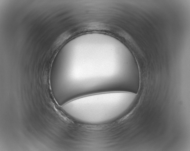 X0000080180833200612081132
