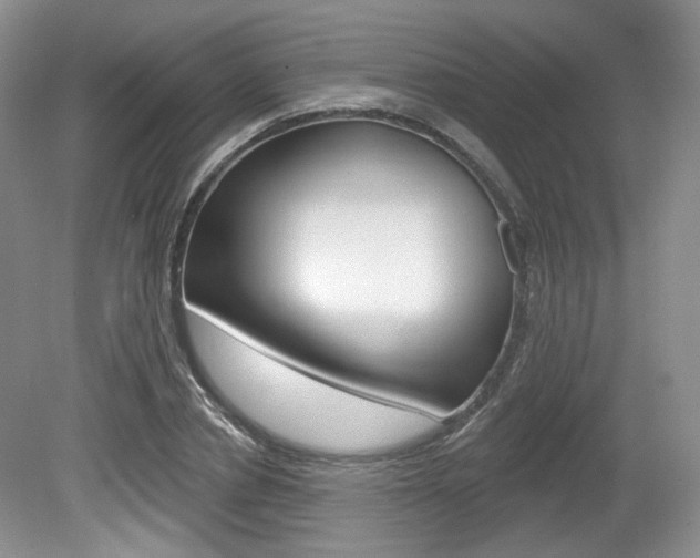X0000080180834200612081132