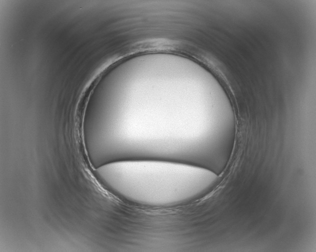 X0000080180835200612081132