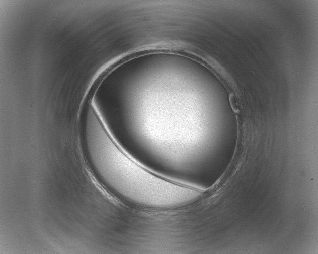 X0000080180838200612081132