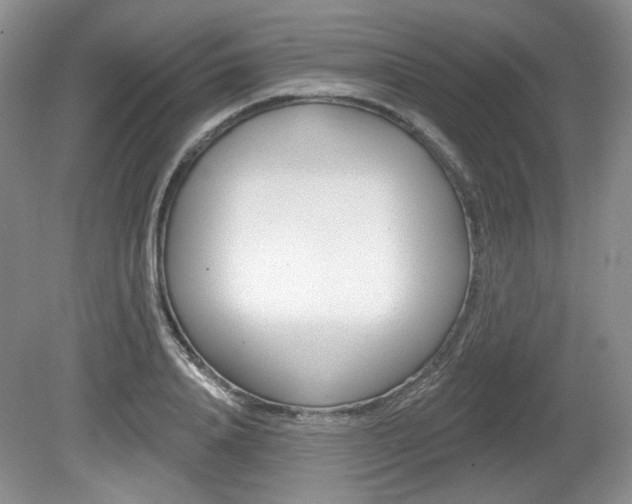 X0000080180840200612081132
