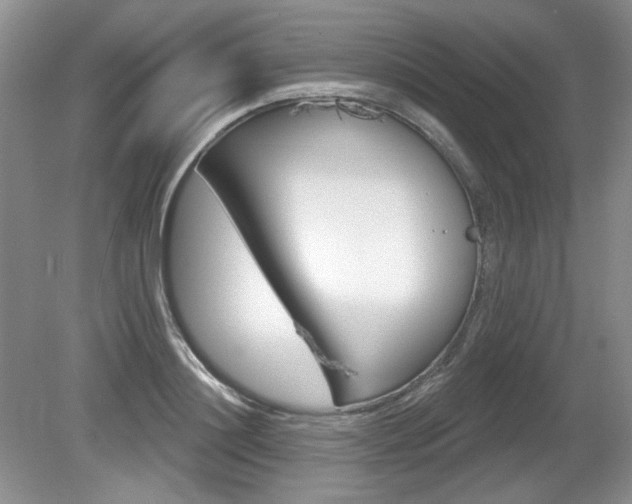 X0000080180844200612081132