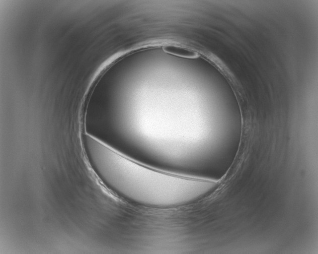 X0000080180854200612081132