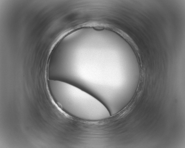 X0000080180855200612081132