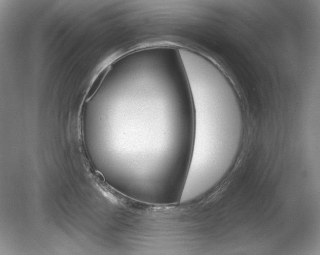 X0000080180858200612081132