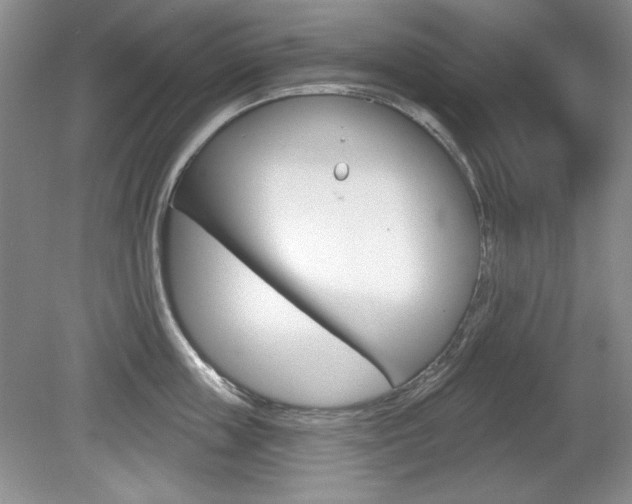 X0000080180859200612081132
