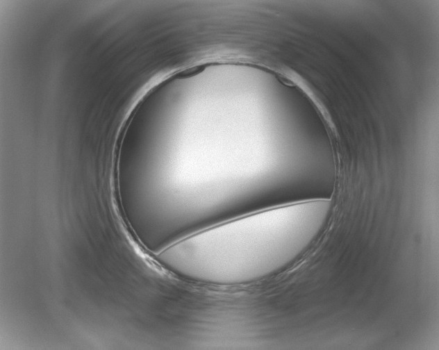 X0000080180861200612081132
