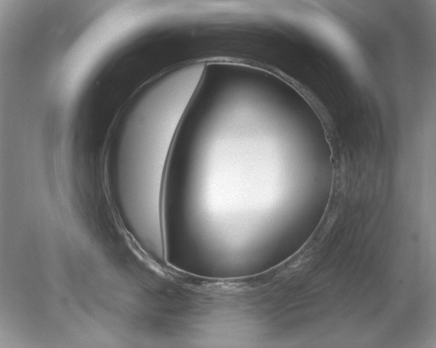 X0000080180862200612081132