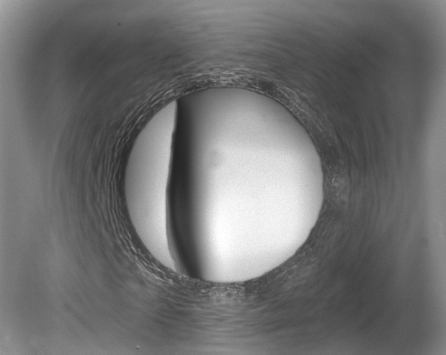 X0000080180865200612081131
