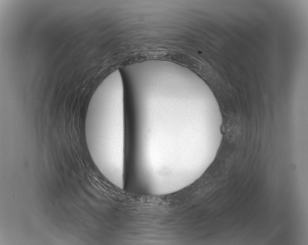X0000080180866200612081131