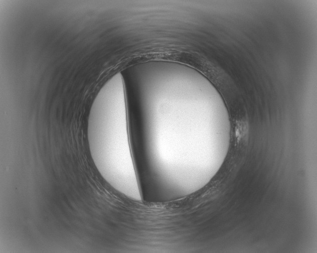 X0000080180867200612081131