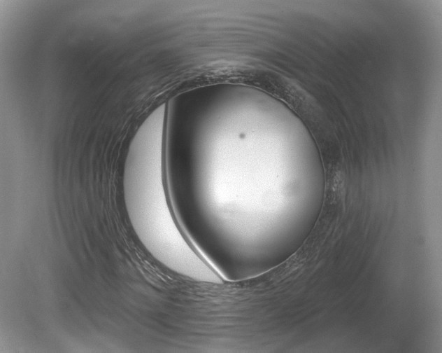 X0000080180868200612081131