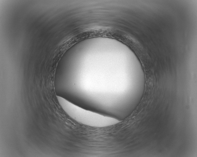 X0000080180869200612081131