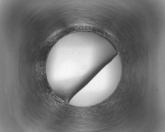 X0000080180870200612081131