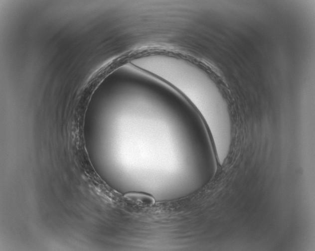 X0000080180872200612081131