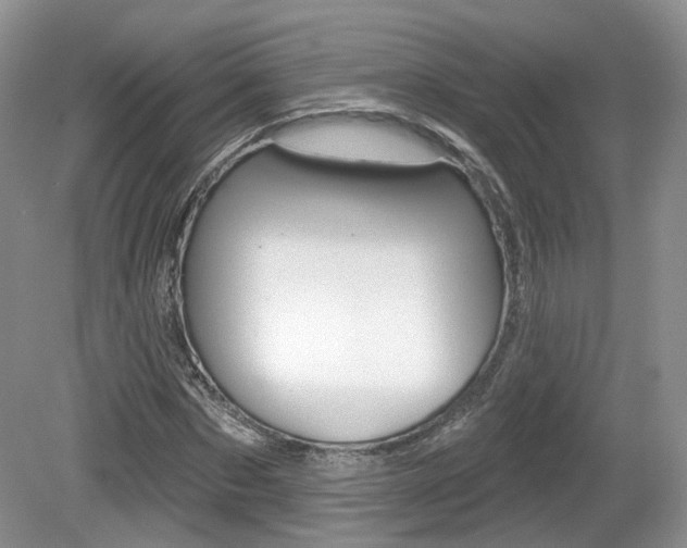 X0000080180873200612081131