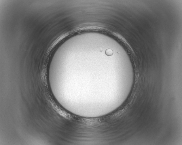 X0000080180874200612081131