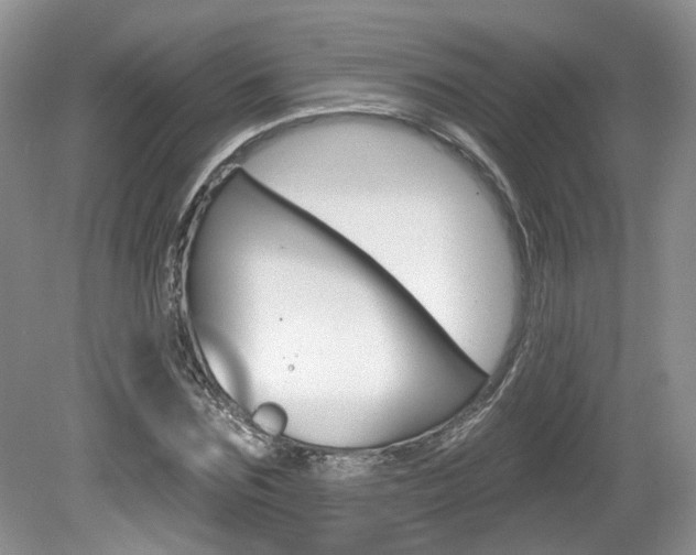 X0000080180875200612081131
