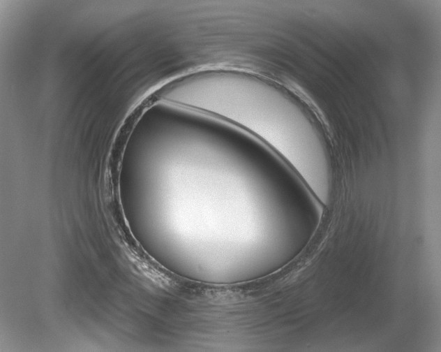 X0000080180876200612081131