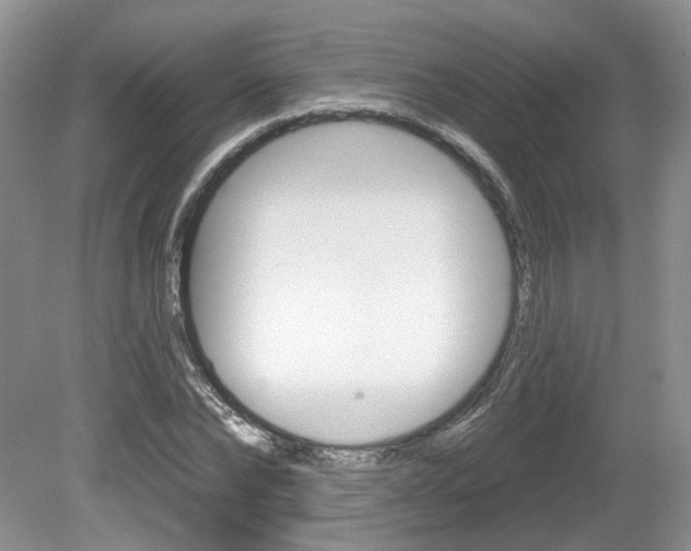 X0000080180878200612081131