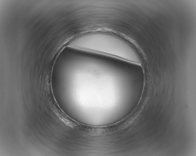 X0000080180881200612081131