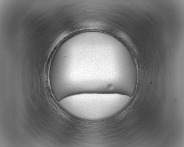 X0000080180883200612081131