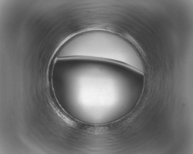 X0000080180884200612081131