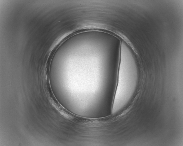 X0000080180885200612081131