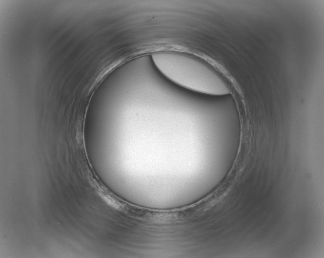 X0000080180889200612081131