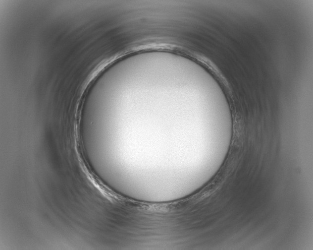 X0000080180890200612081131