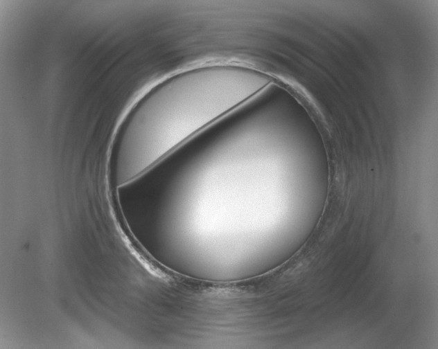 X0000080180894200612081131