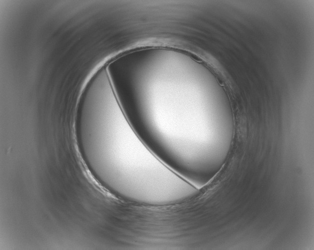 X0000080180896200612081131