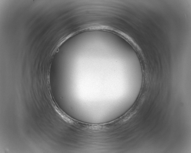 X0000080180897200612081131