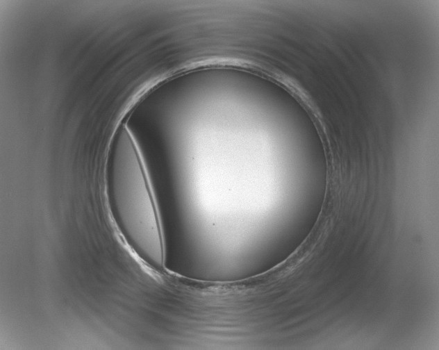 X0000080180898200612081131