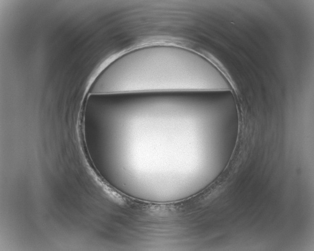 X0000080180901200612081131