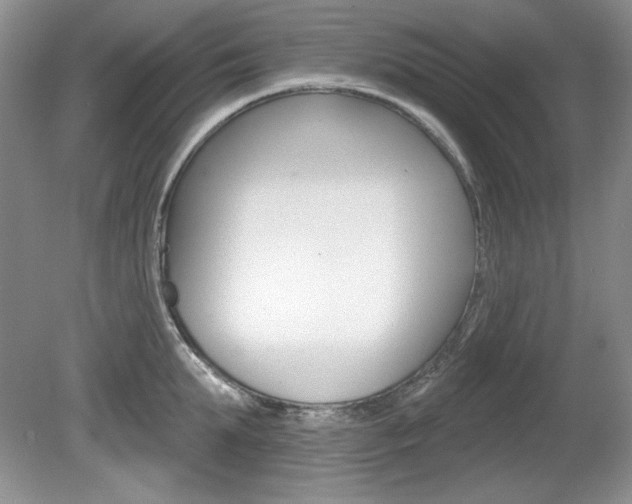 X0000080180903200612081131